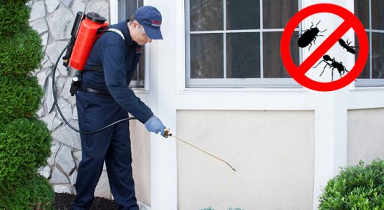 Orhangazi Karınca İlaçlama böcek ilaçlama ve haşere kontrolü — ilaclama-tr.com